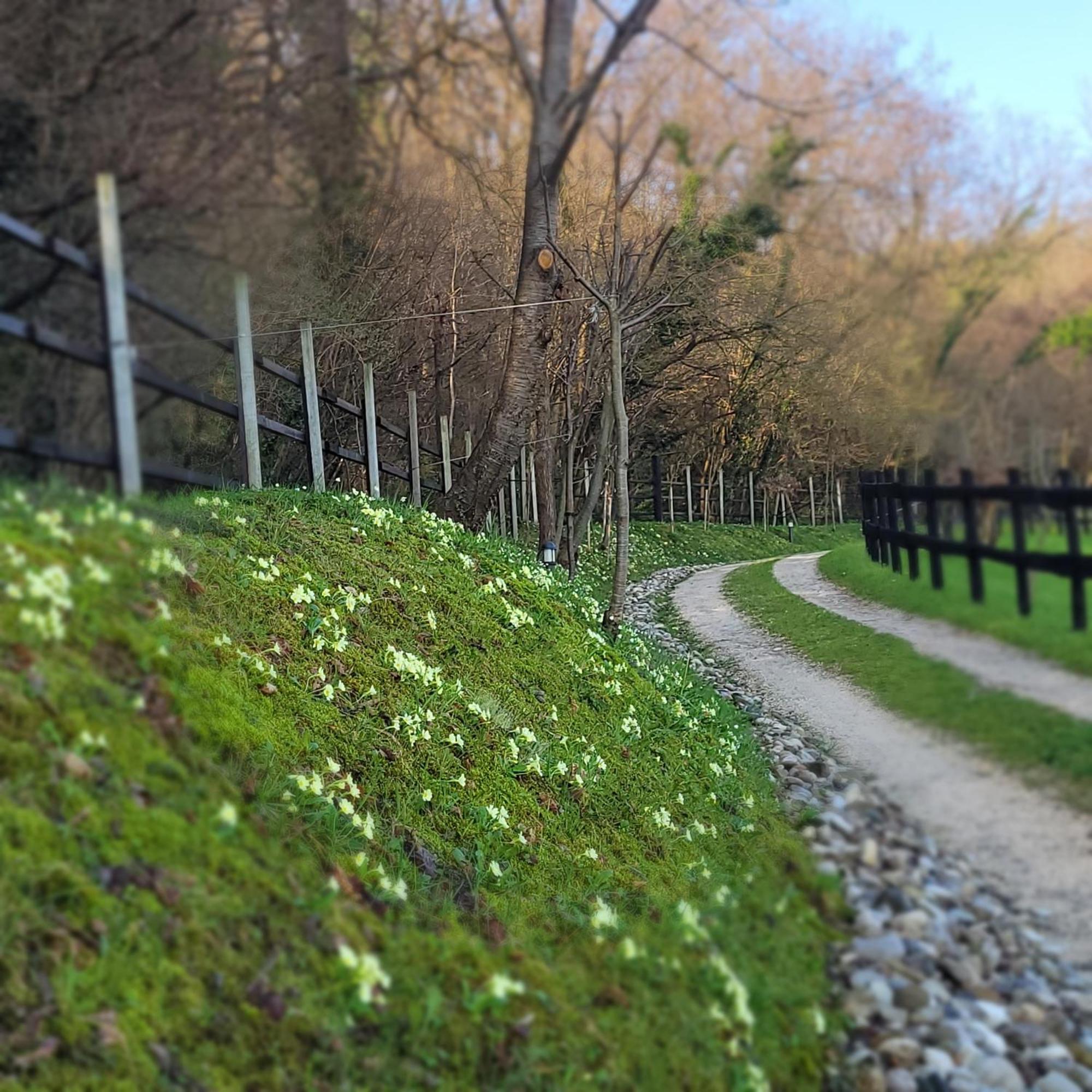 Nikolas' Valley Cornuda 외부 사진
